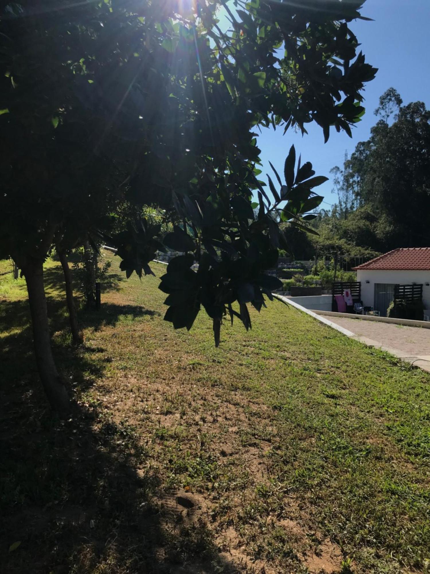 Casa Da Milheira - Agroturismo Oliveira de Azemeis Kültér fotó